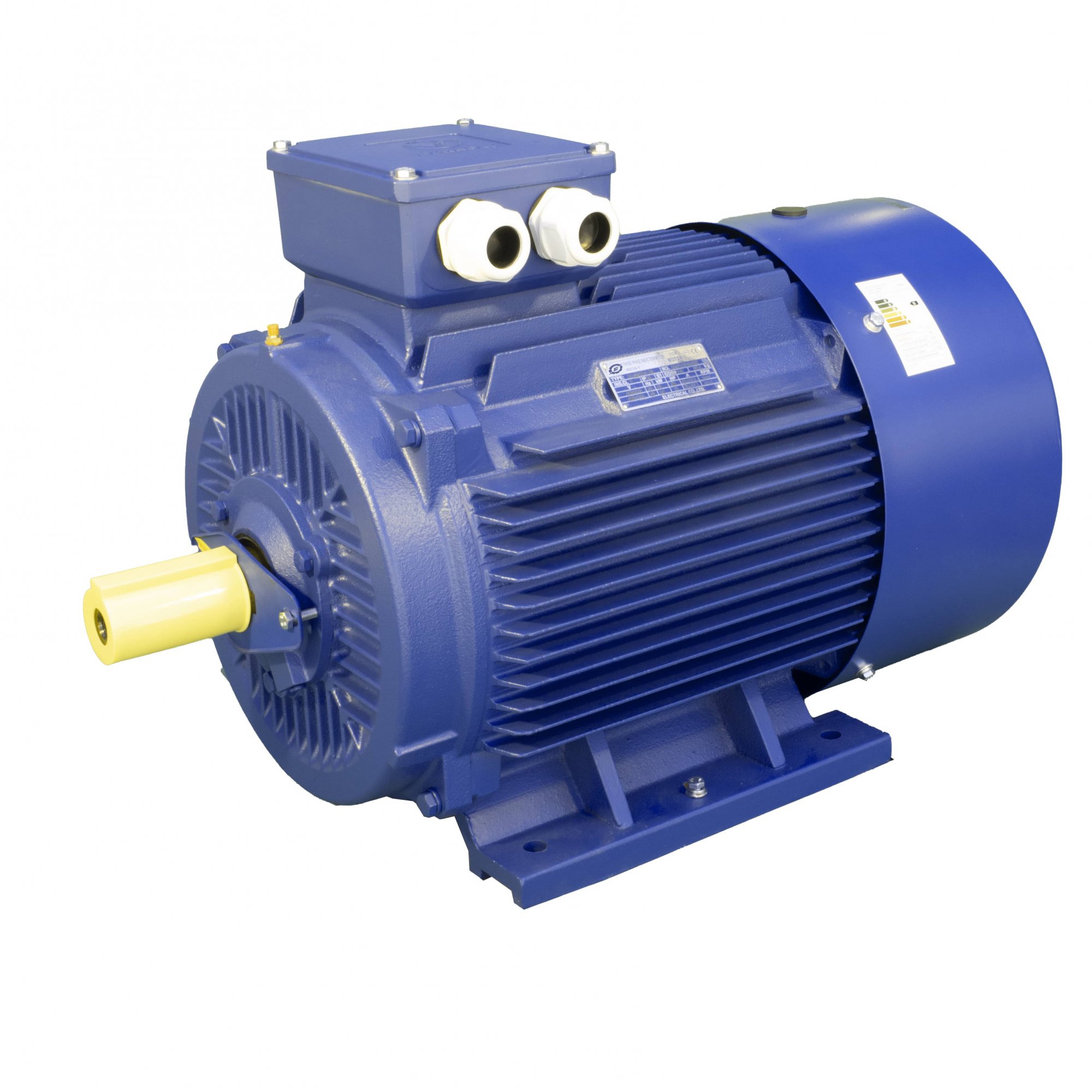 Cast iron shell three-phase electric motor
